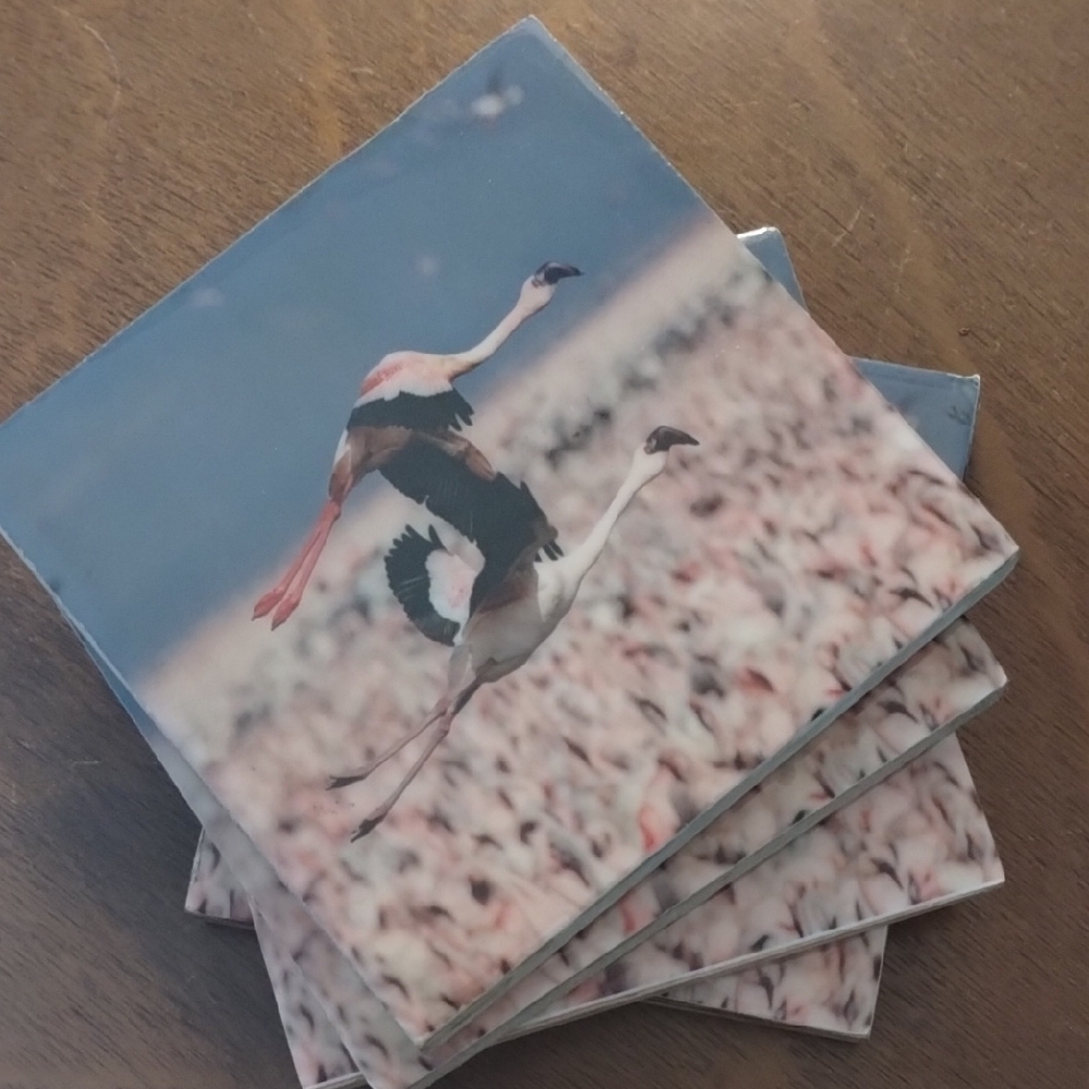 Flamingo Coasters Set